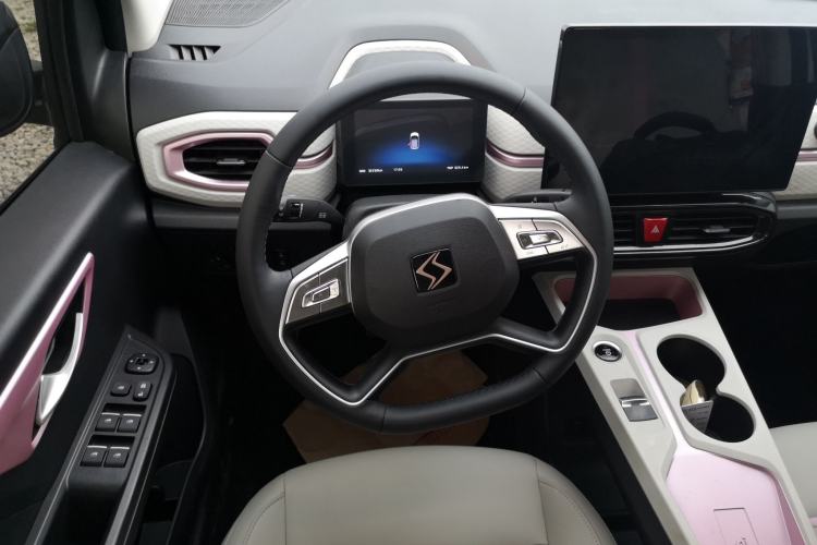 Used SOL E10X 2022 Flower Fairy Design Sunflower Steering Wheel