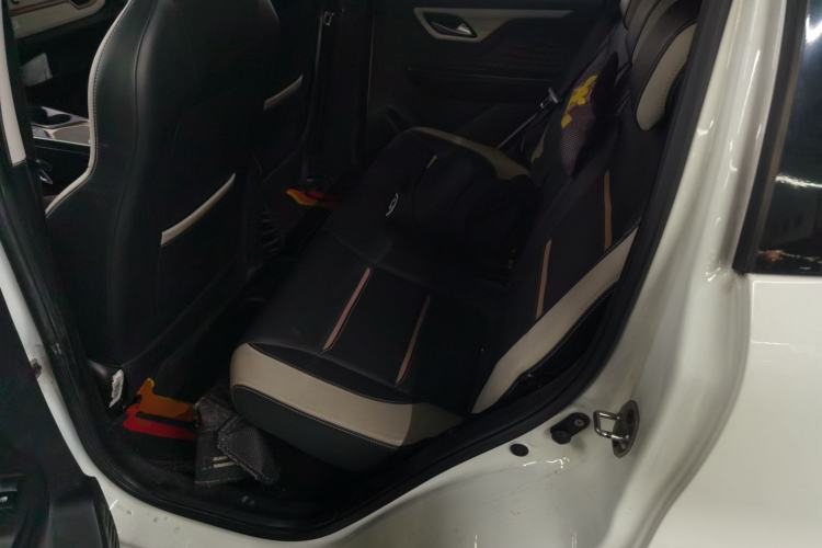 Used SOL E10X 2022 Flower Fairy Design Four-Leaf Clover
