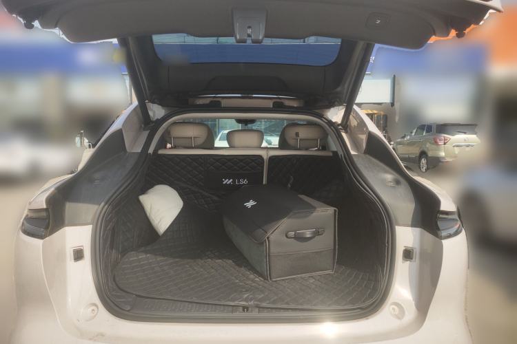 Used IM LS6 2023 Max Standard Edition
