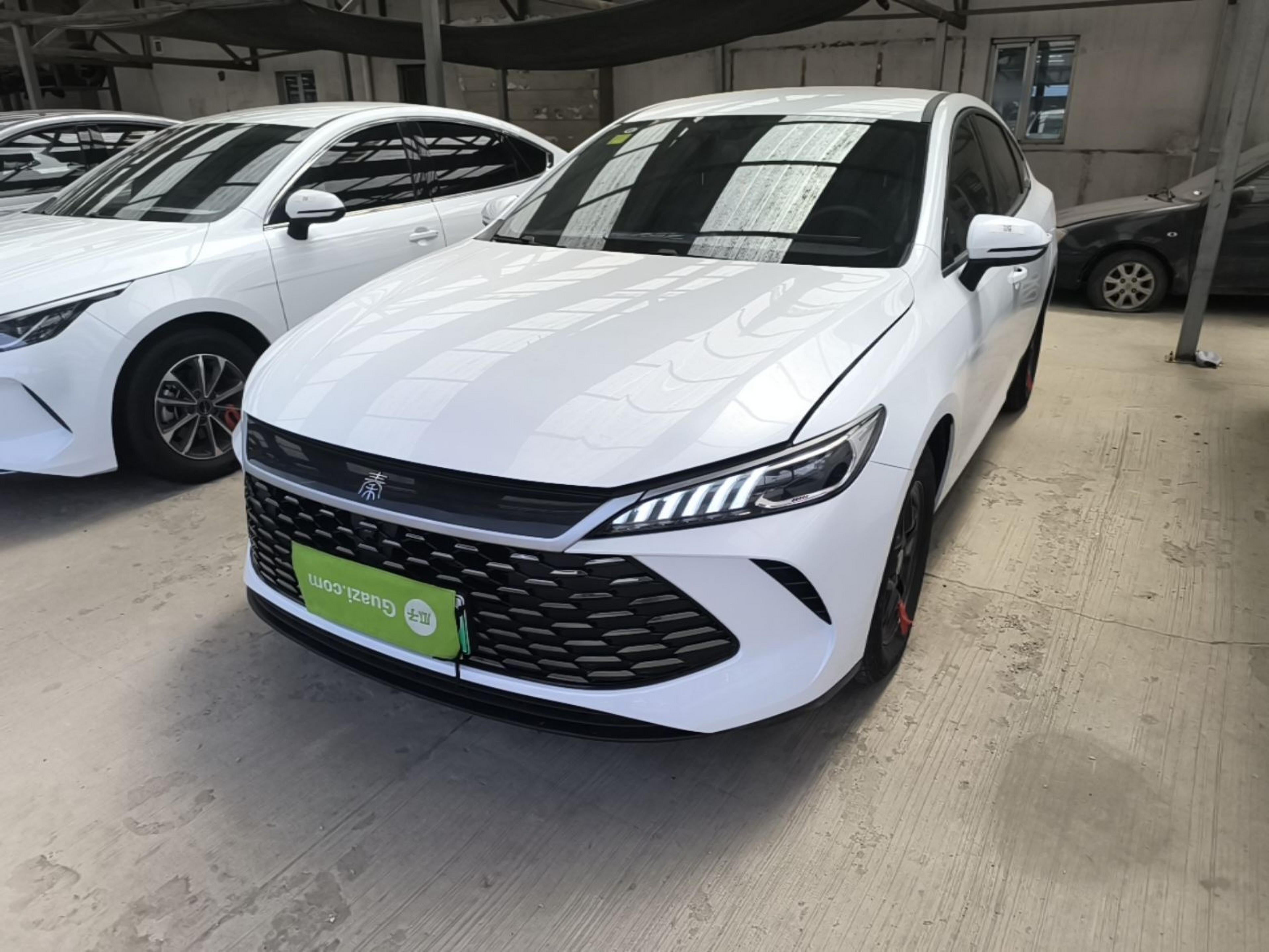 Under Front Bumper