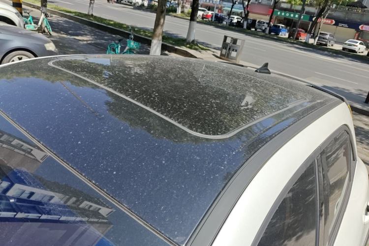 Used ORA Good Cat GT 2023 Mulan Edition 401km Prestige Version Roof