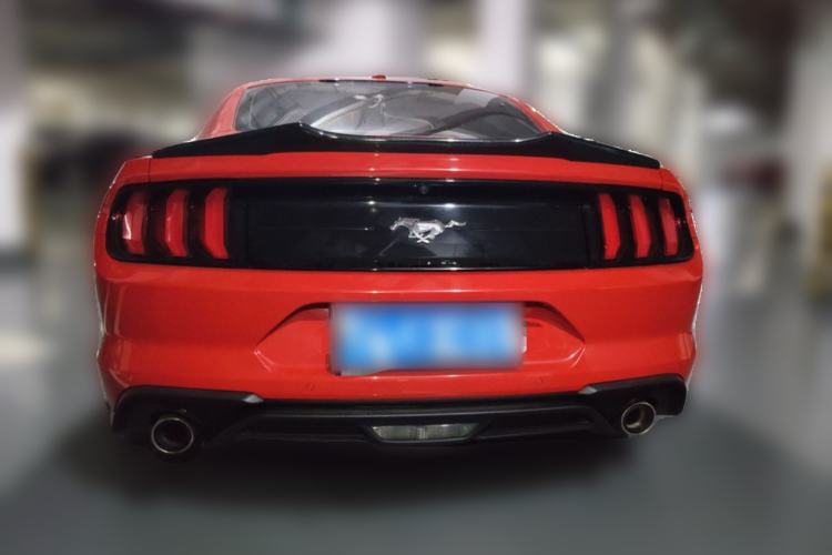 Used Ford Mustang 2019 2.3T Automatic Hardtop Base Version U.S. Specification Rear