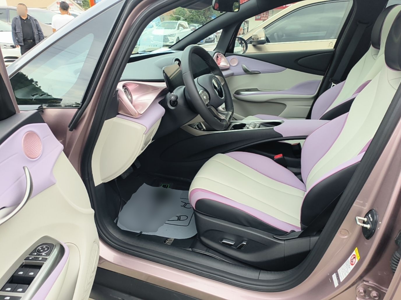 BYD Dolphin 2021 401km Knight Edition — снимка 18