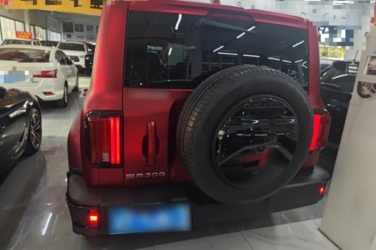 Used Tank 300 2024 2.0T Crosser