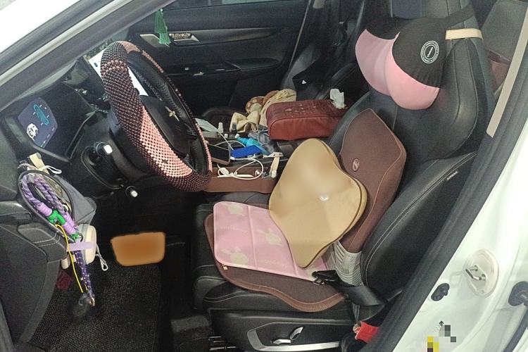 Used XPeng G3 2022 G3i 520G+ Left Front Seat