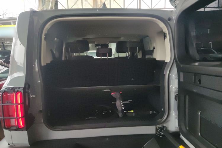 Used Tank 300 2024 2.0T Crosser