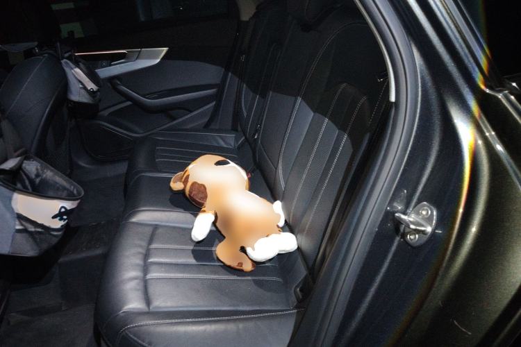 Used Audi A4L 2022 40 TFSI Luxury Dynamic Model Left Rear Seat