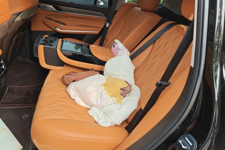 Used Tank 500 New Energy 2026 Model—Hi4-Z Smart Enjoyment Version Left Rear Seat