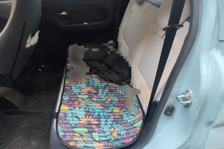 Used LINGBOX 2021 Wang Zhaojun Edition
