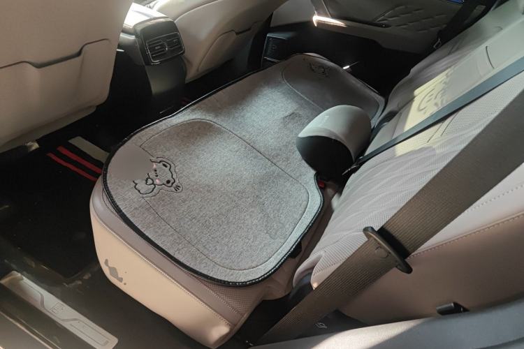 Used BYD Tang New Energy 2025 DM-i 115KM Cloud Ride Flagship Model Left Rear Seat