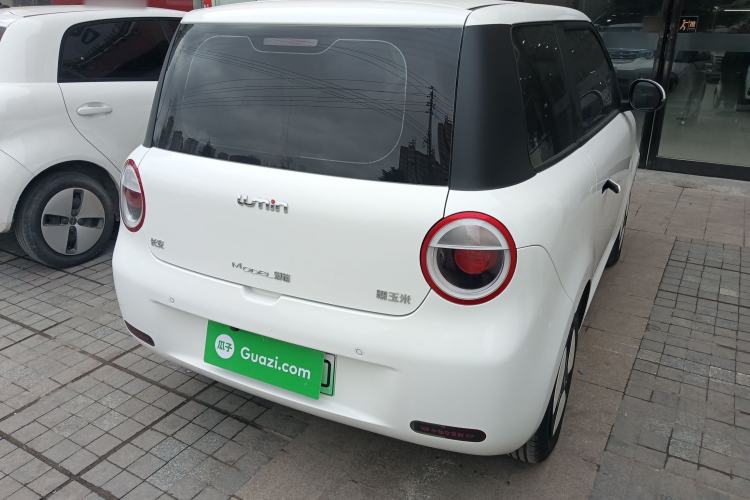 Used Qiyuan Lumin 2023 205km Xiangqin Version