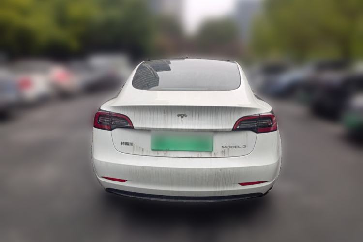 Used Tesla Model 3 2021 Standard Range Rear-Drive Upgraded Version Exterior 4