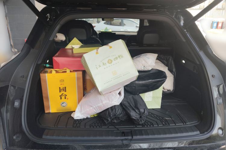 Used Zeekr 7X 2025 100 kWh Long-Range Rear-Wheel Drive with Intelligent Driving Features Trunk