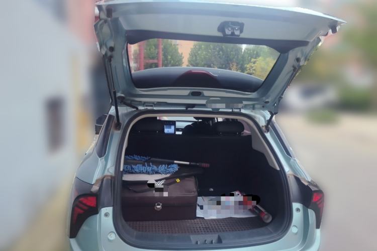 Used NETA V 2021 Standard Range Entertainment Edition