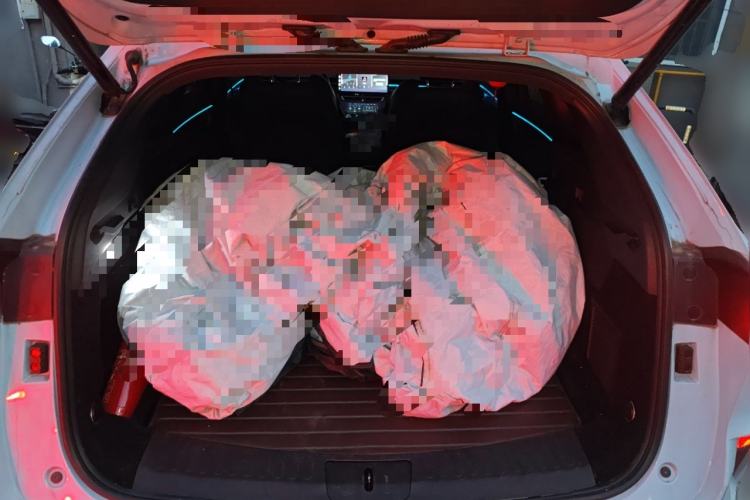 Used Wey Mocha 2021 2.0T Two-Wheel-Drive Premium Edition