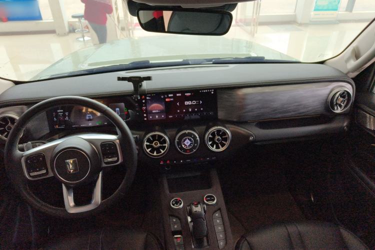 Used Tank 300 2024 2.0T Crosser
