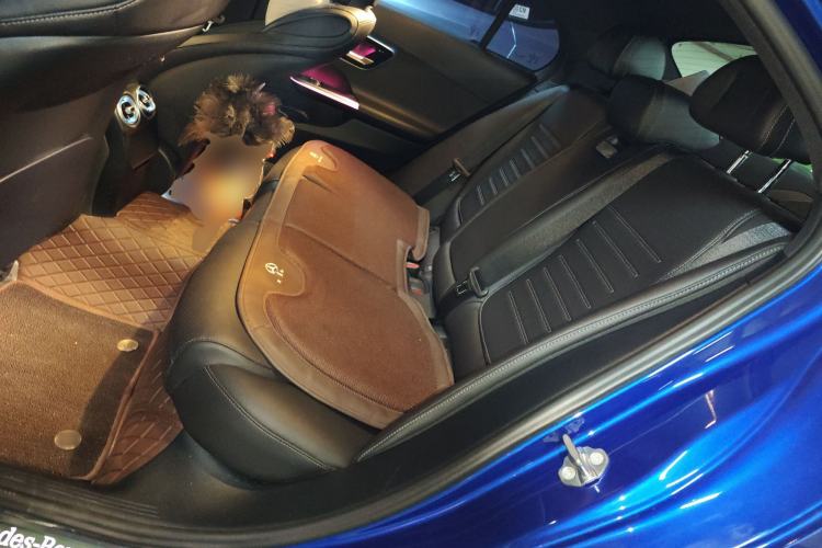 Used Mercedes-Benz C-Class New Energy 2023 C 350 eL