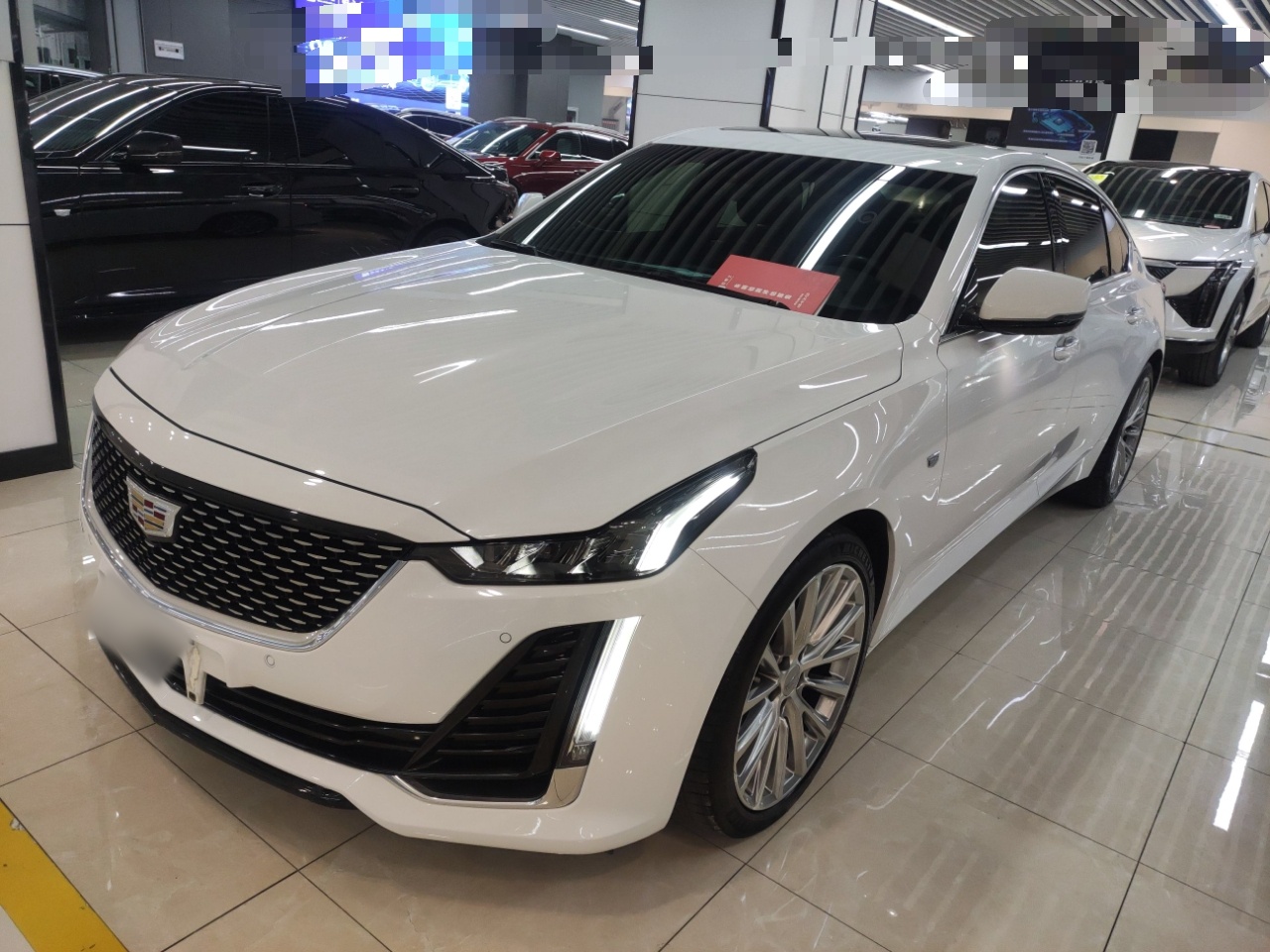 Parte inferior delantera