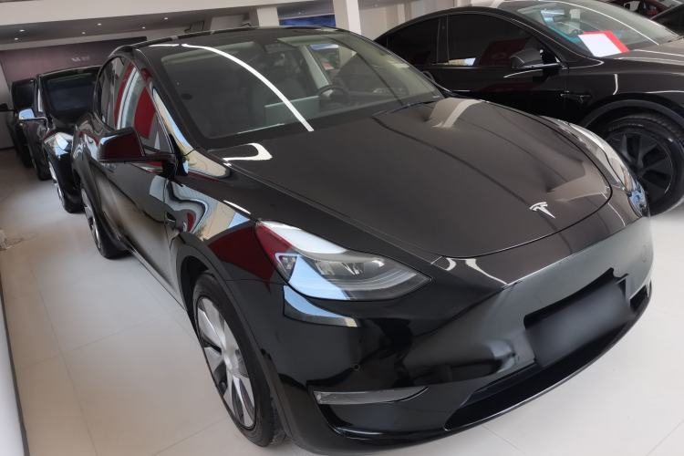 Used Tesla Model Y 2021 Standard Range Rear-Wheel Drive Version
