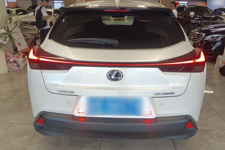 Used Lexus UX 2020 260h Explore & Adventure Edition