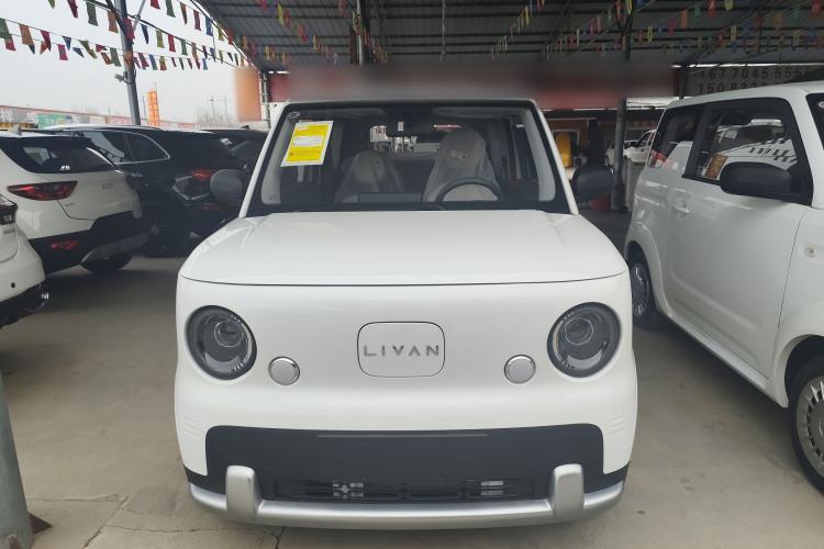 Used Livan Blue Balloon 2025 Model Dynamic Version