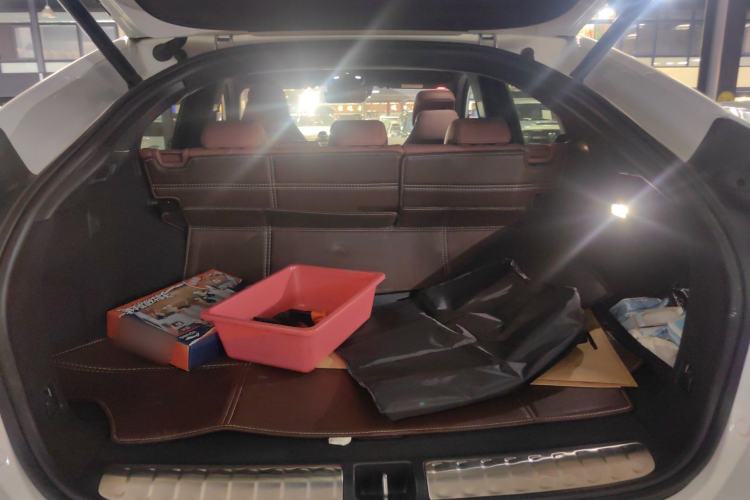 Used Nio EC6 2020 440 km Performance Version