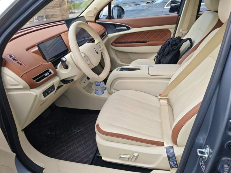 Used ORA Good Cat 2025 Model, 430 km Prestige Version — 16