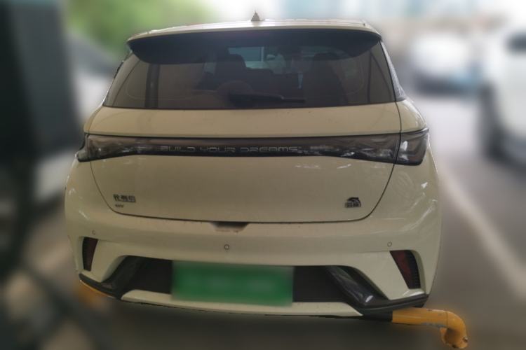 Used BYD Dolphin 2023 420 km Fashion Edition Rear