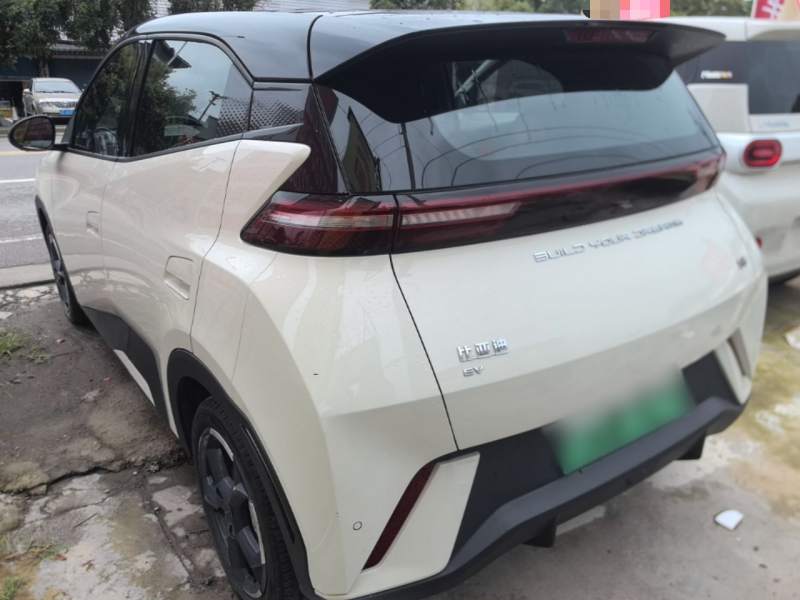 Used BYD Seagull 2023 Free Edition — 4