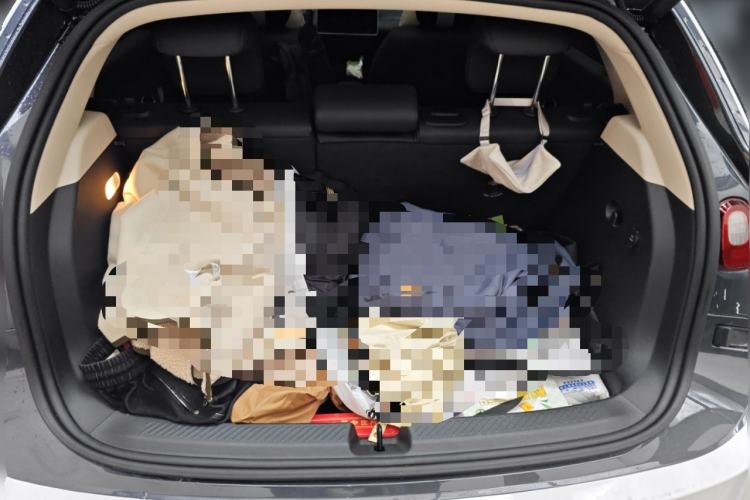 Used firefly 2025 Night Creature Special Edition