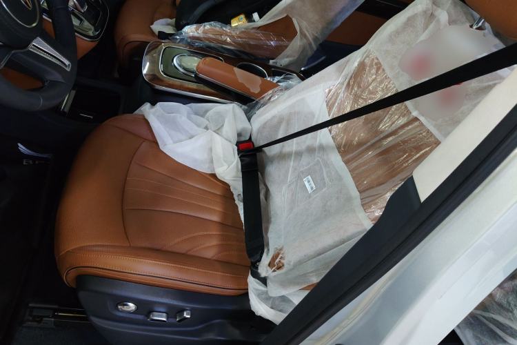 Used Hongqi HQ9 2023 2.0T Smart Connect Flagship Edition