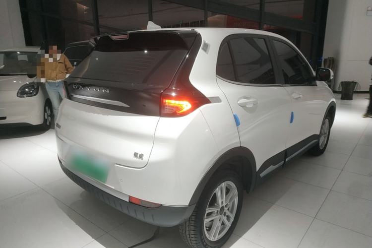 Used Dayun Yuehu 2022 30.66 kWh Two-Wheel Drive Luxury Edition
