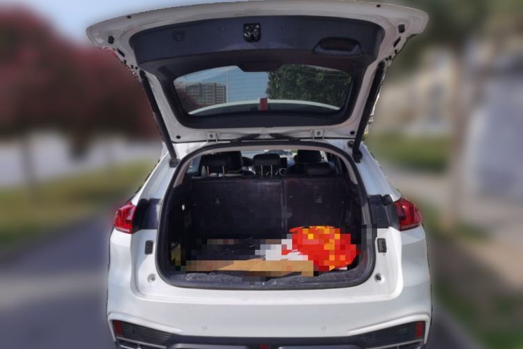 Used Wey VV5 2021 1.5T Two-Wheel Drive Smart Pioneer
