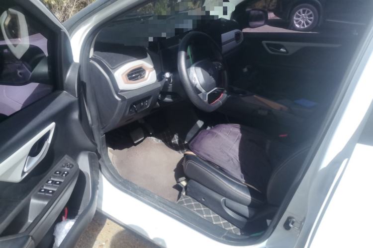 Used SOL E10X 2022 Flower Fairy Style Baby's Breath
