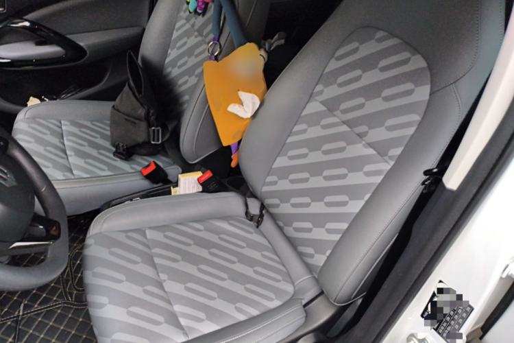 Used Leapmotor T03 2024 310 Comfort Edition Left Front Seat