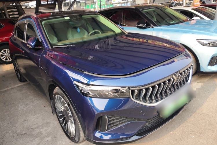 Used VOYAH FREE 2021 Four-Wheel Drive Standard Range-Extended Exclusive Luxury Package Exterior 2