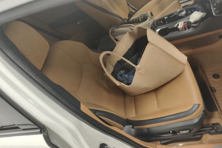 Used Lexus RZ 2023 450e All-Wheel Drive Luxury Edition
