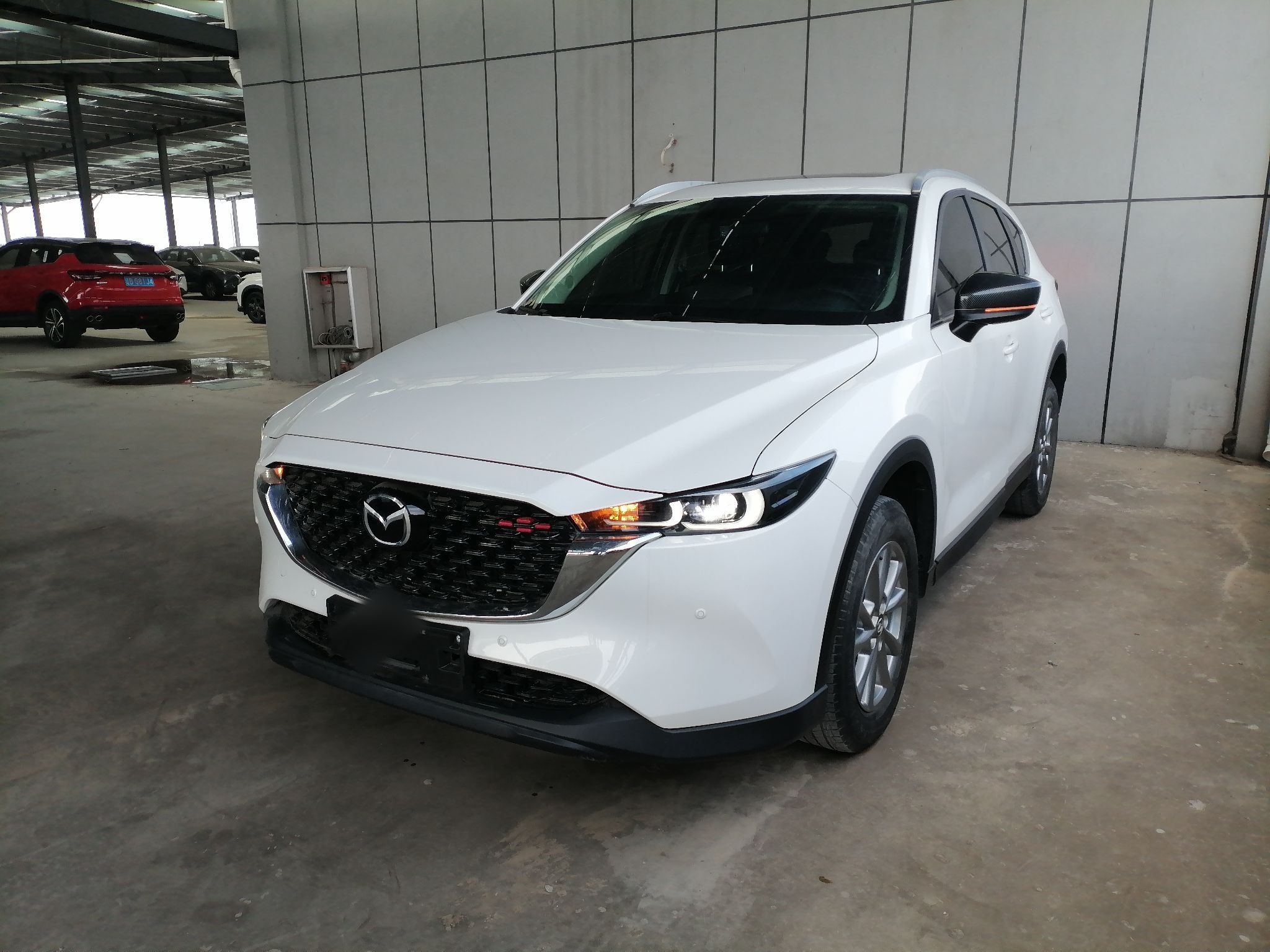 Parte inferior delantera