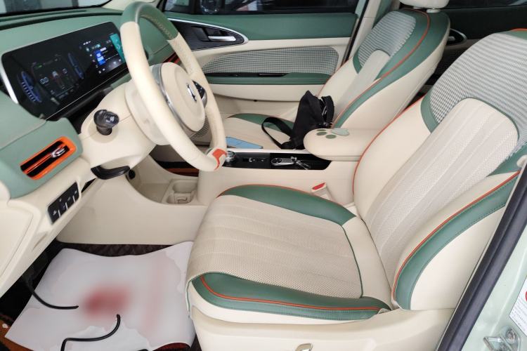 Used ORA Good Cat 2022 Morandi Edition 400km Standard Range Premium Version Lithium Iron Phosphate Left Front Seat