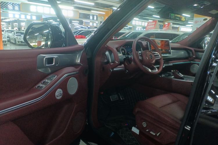 Used Tank 700 New Energy 2024 Hi4-T Extreme Edition Driver Seat