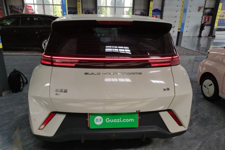 Used BYD Seagull 2023 Free Edition Rear