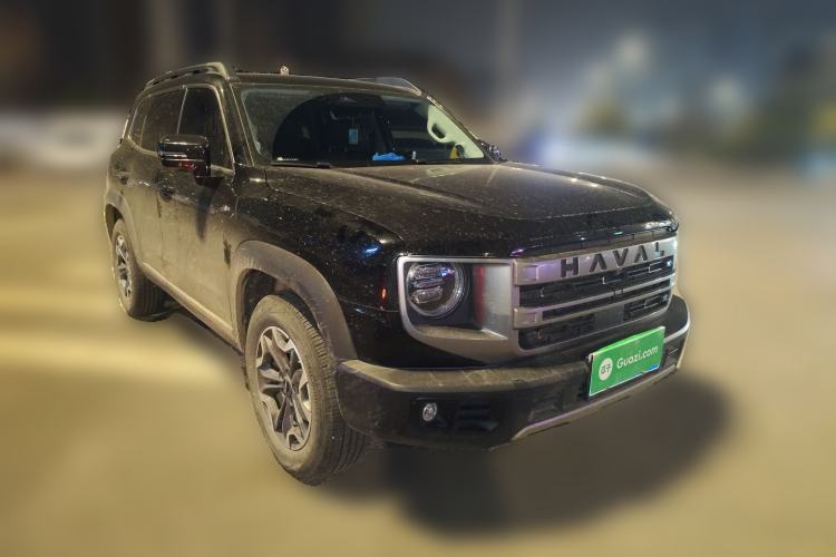 Used Haval DARGO 2024 2.0T DCT Chinese Rural Dog Edition
