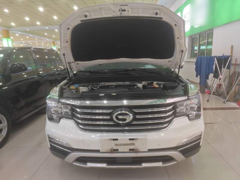 Used GAC Trumpchi GS8 2017 320T Two-Wheel Drive Luxury Smart Connectivity Version (7 Seats) — 19