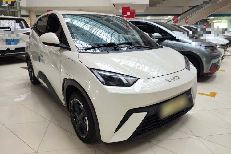 Used BYD Seagull 2024 Honor Edition 305km Freedom Version
