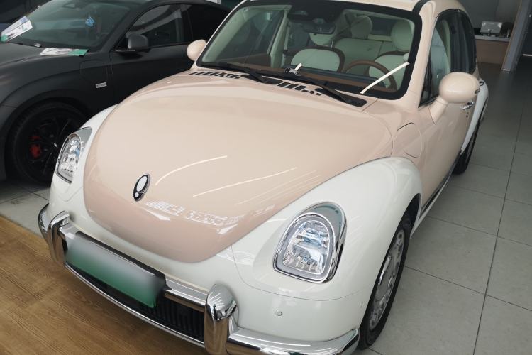 Used ORA Ballet Cat 2023 401 km Luxury Version