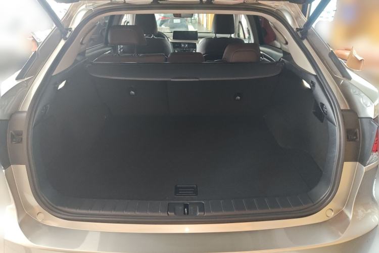 Used Lexus RX 2021 300 Four-Wheel Drive Special Edition Trunk