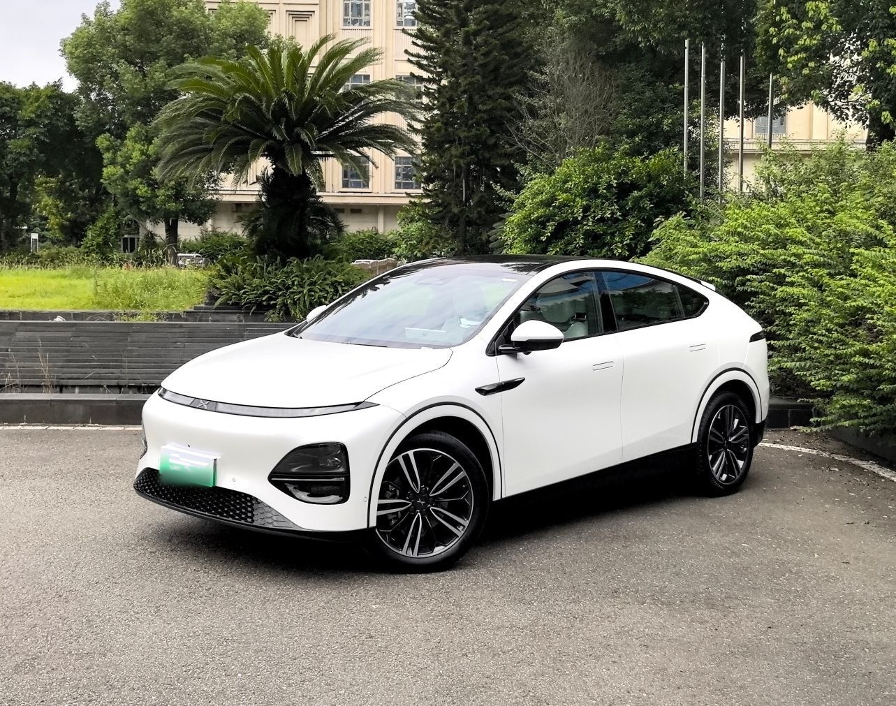 Parte inferior delantera