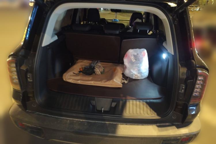 Used Haval DARGO 2024 2.0T DCT Chinese Rural Dog Edition
