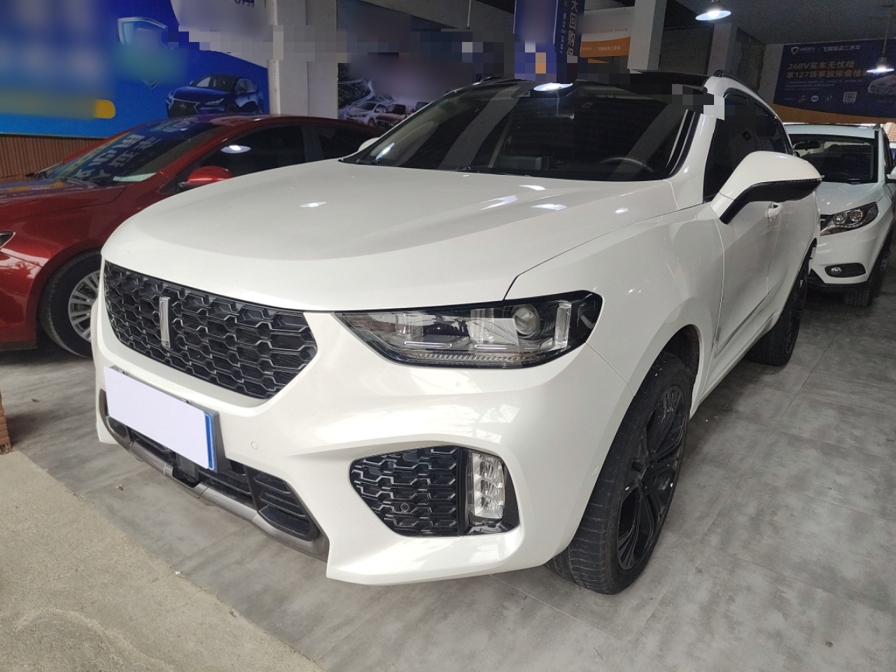 Parte inferior delantera