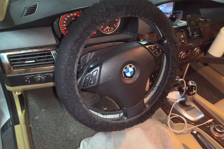 Used BMW 5 Series 2010 520Li Leading Model
